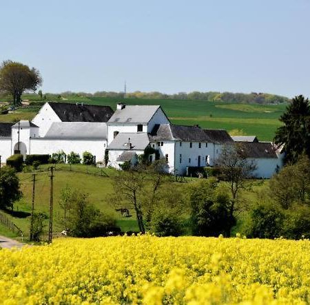 La Ferme De Basseilles Guest House Mozet Ngoại thất bức ảnh