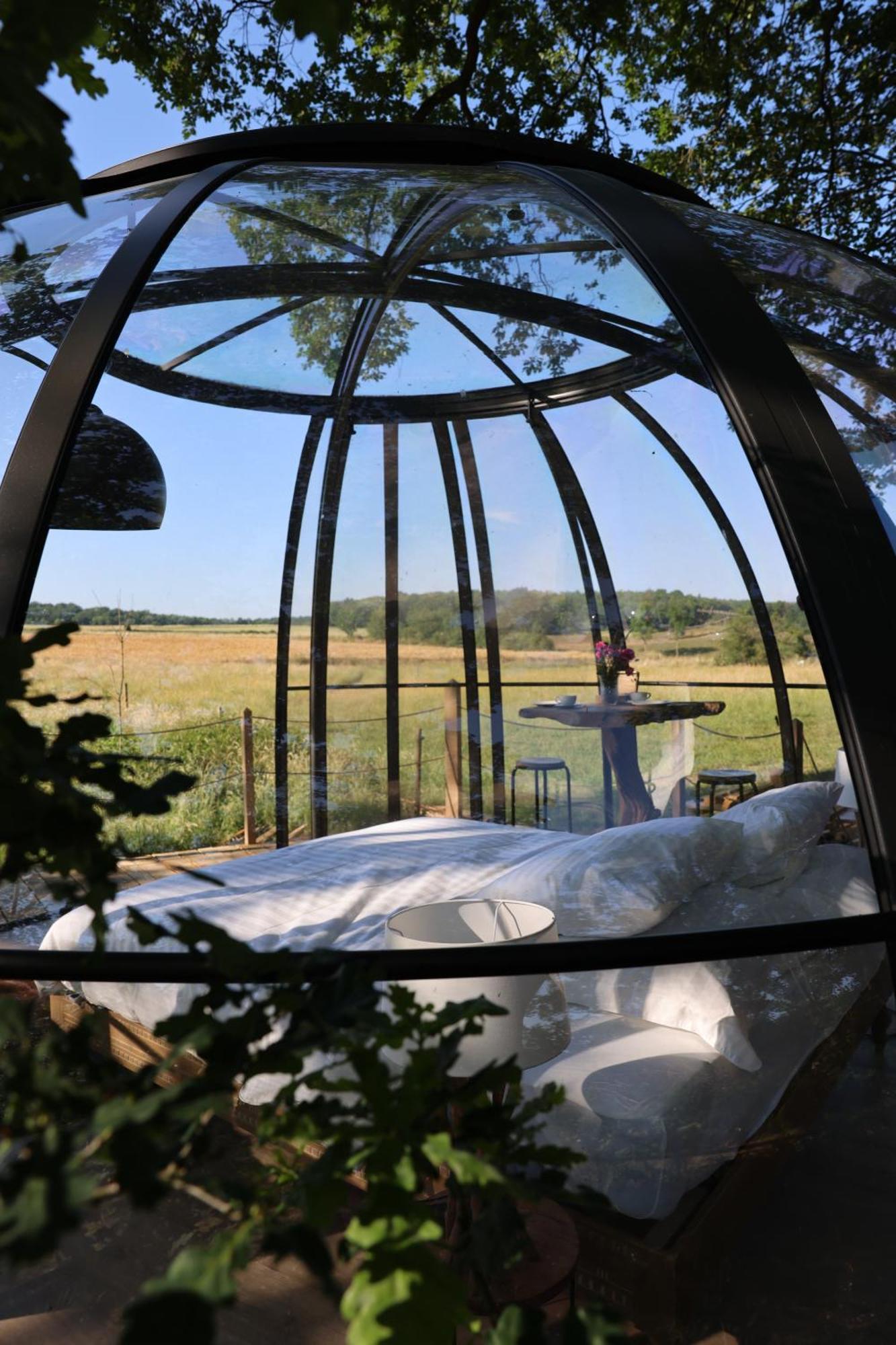 La Ferme De Basseilles Guest House Mozet Ngoại thất bức ảnh